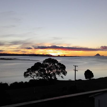 Ohiwa Harbour Studio Apartment Waiotahi 外观 照片